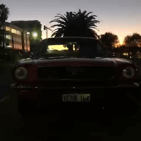 Seven Inch Bangin Headlights Halos with Integrated Switchback Indicators in 66 Mustang
